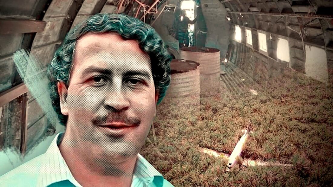 Conoce el avión de Pablo Escobar abandonado en Yucatán